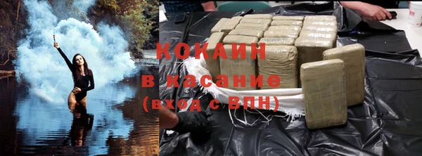 индика Нефтегорск