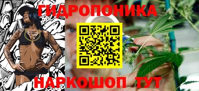 сатива Кинель