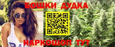 сатива Кинель