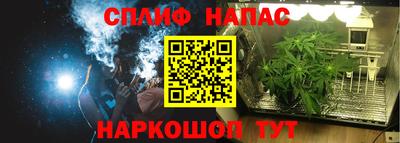 сатива Кинель