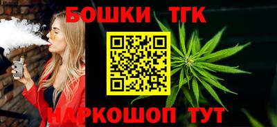 МДПВ Кингисепп