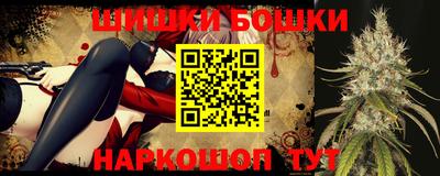 МДПВ Кингисепп