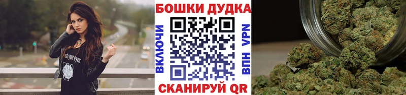 Канабис планчик Северск